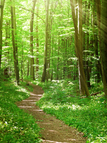 Susanne_360x480 (1) Cranio 5D